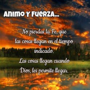 芒果m3u8免费版电影
